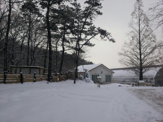 <span class='galleria_span'>펜션1</span><br />