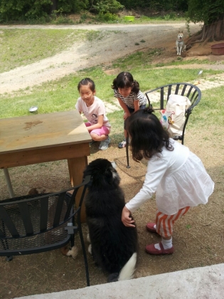<span class='galleria_span'>이벤트장소대여</span><br />
